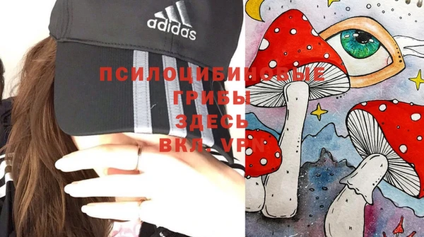 ПСИЛОЦИБИНОВЫЕ ГРИБЫ Остров