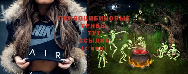 ПСИЛОЦИБИНОВЫЕ ГРИБЫ Остров