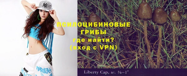 apvp Осташков