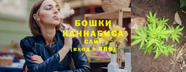 ПСИЛОЦИБИНОВЫЕ ГРИБЫ Остров