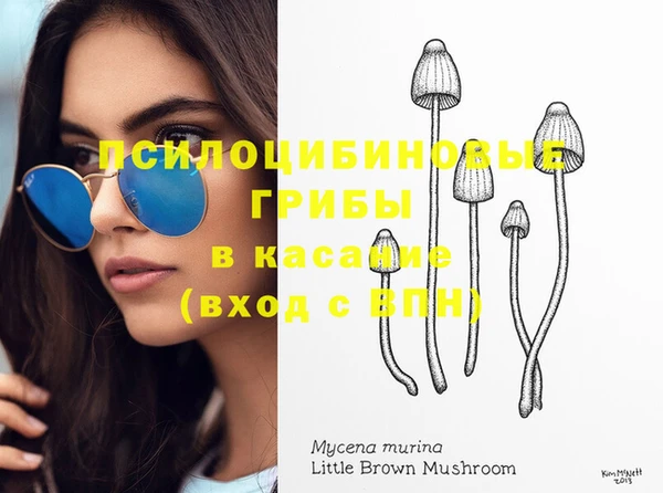 apvp Осташков