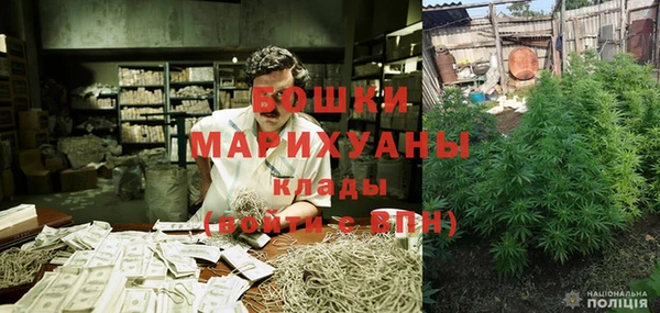 СК Осинники