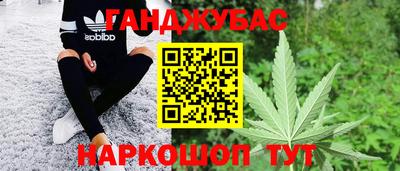 МДПВ Бийск