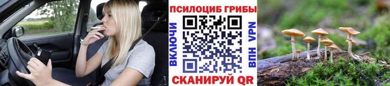 Псилоцибиновые грибы мицелий  Волоколамск 